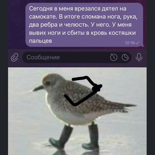 Штош, самокатчик, готовься