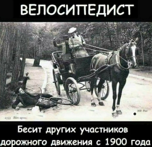 Велосипедист бесит всех вообще