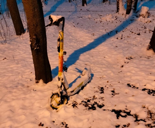 Самокат в заснеженном лесу