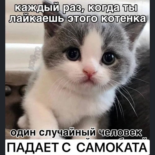 Лайкни котенка!