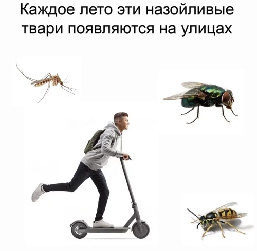 Каждое лето на улицах города появляются назойливые твари