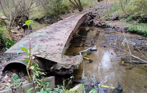 Москвичи топят самокаты
