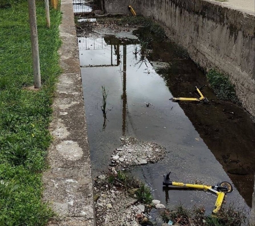 Самокаты купаются